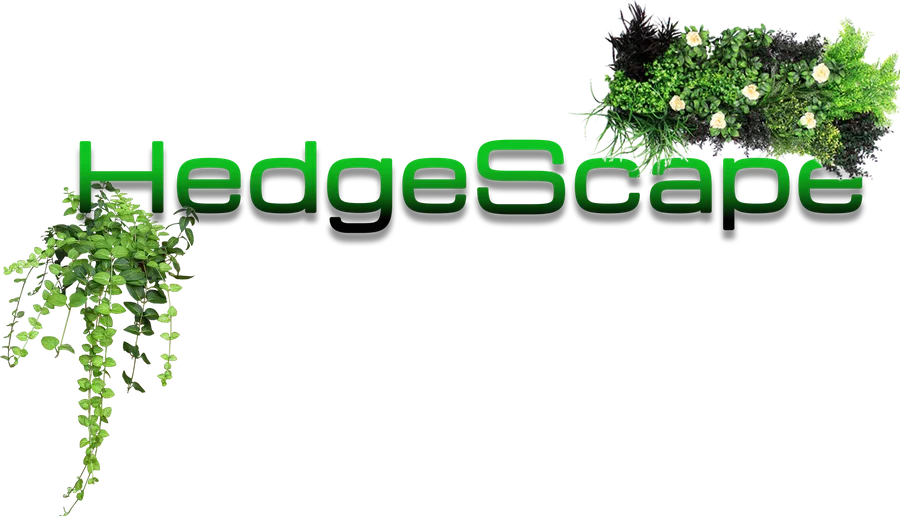 HedgeScape